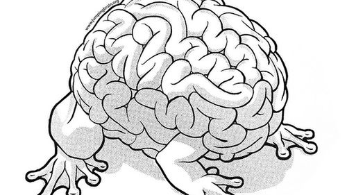 3 propozycje na trening mózgu 1