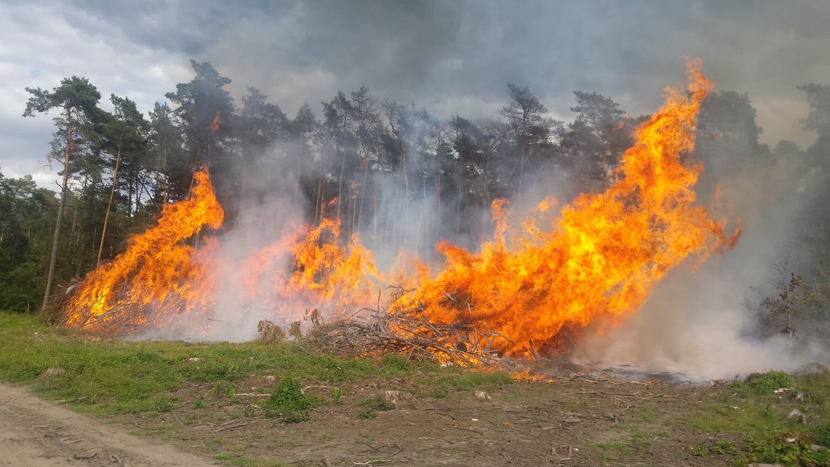 15-latek sprawcą podpalenia lasu