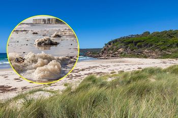Dramat w Australii. Klęska żywiołowa zagraża ekosystemowi i turystyce