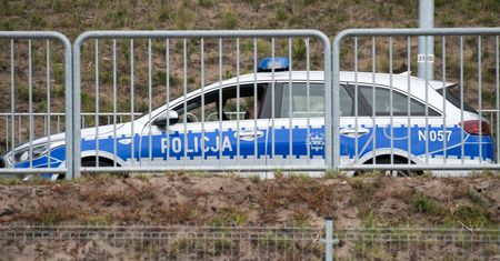 Tragedia na działkach w Zielonej Górze. Drzewo zabiło mężczyznę