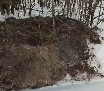 "Widać bardzo głębokie wykopy". Odkrył to na terenie Nadleśnictwa Pułtusk