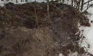 "Widać bardzo głębokie wykopy". Odkrył to na terenie Nadleśnictwa Pułtusk