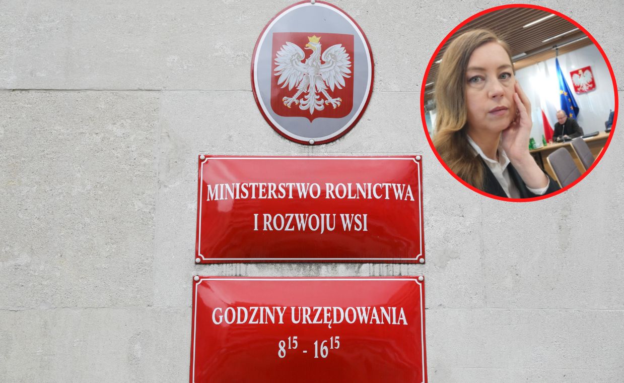 Hanna Gill-Piątek ujawnia wydatki ministerstw