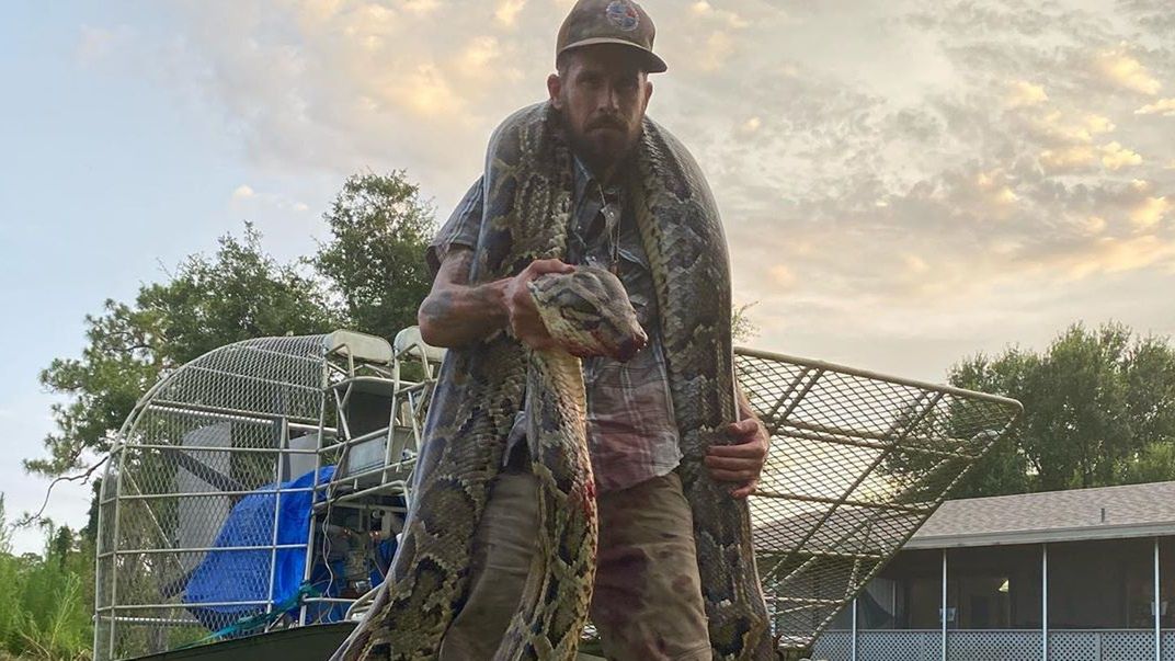 Wąż miał ponad 5 metrów długości