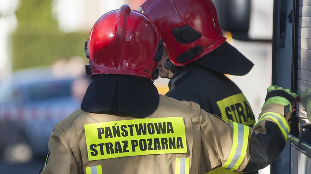 Zdjęcie ilustracyjne.