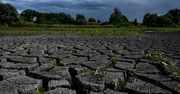 Rekordowo ciepły 2024 rok. Klimatolog ostrzega przed tym, co czeka Polskę