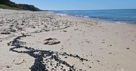 Bałtyk wyrzucił na brzeg coś dziwnego i czarnego. Służby badają próbki