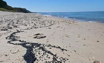 Bałtyk wyrzucił na brzeg coś dziwnego i czarnego. Służby badają próbki