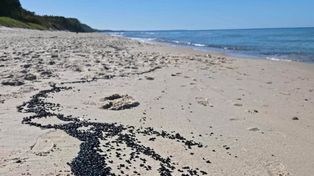 Bałtyk wyrzucił na brzeg coś dziwnego i czarnego. Służby badają próbki