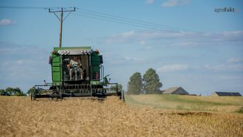 Rzepak drożeje? Sprawdź aktualne ceny rzepaku na żniwa 2025