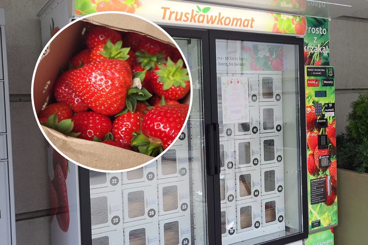 Bez pani z bazarku i wsypywania do reklamówki. Kupiliśmy truskawki w automacie