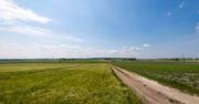 Sandomierz: Poprawią się drogi dojazdowe do pól w naszym regionie. Samorządy otrzymały dofinansowanie na ich remont. Zobacz które