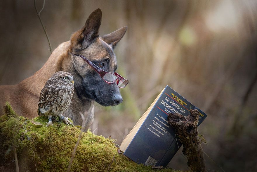 Tanja przy fotografowaniu zwierząt nie korzysta ze smakołyków - po prostu cierpliwie czeka na okazję do zrobienia fajnego zdjęcia.