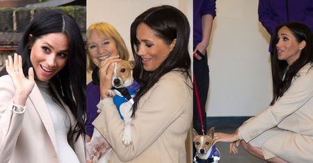 Uradowana Meghan Markle głaszcze pieski w ośrodku opieki nad zwierzętami (ZDJĘCIA)