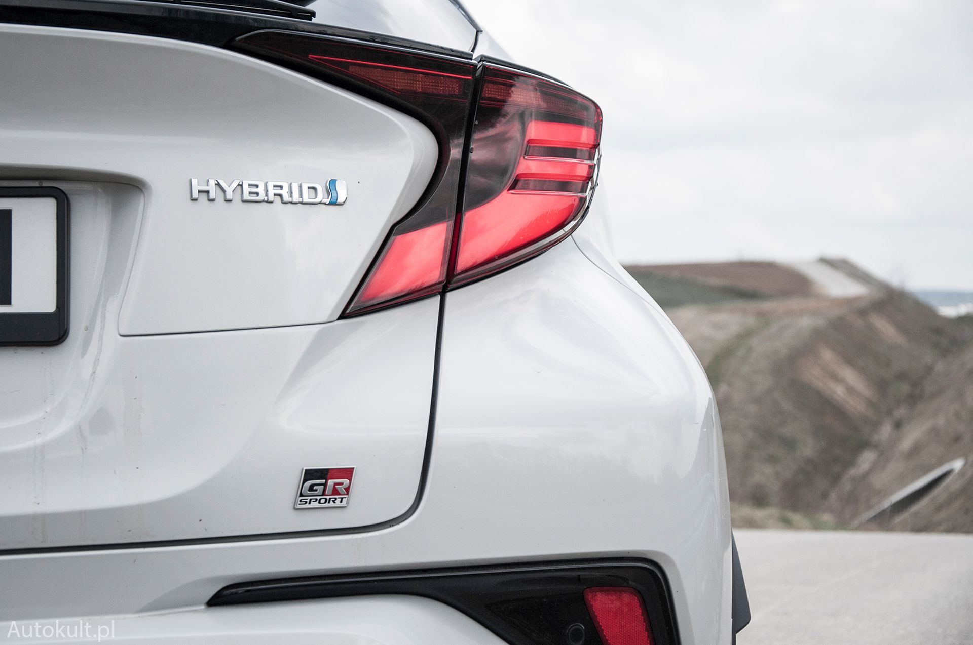 Zdjęcie ilustracyjne do artykułu