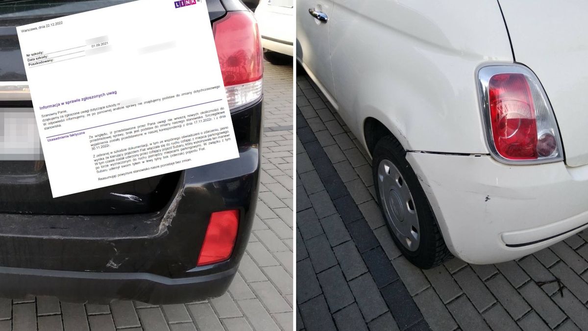 Opis ubezpieczyciela i rodzaj szkód dają do myślenia