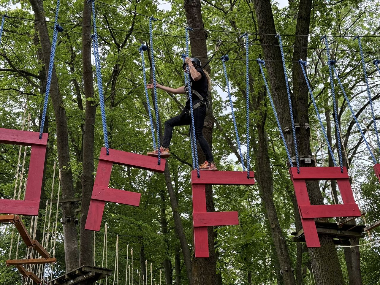 Coś dla odważnych: park linowy ze skomplikowanym torem przeszkód