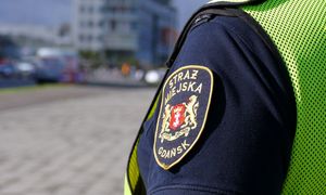 Kontrole w dużym polskim mieście. Za brak dokumentu wysoki mandat