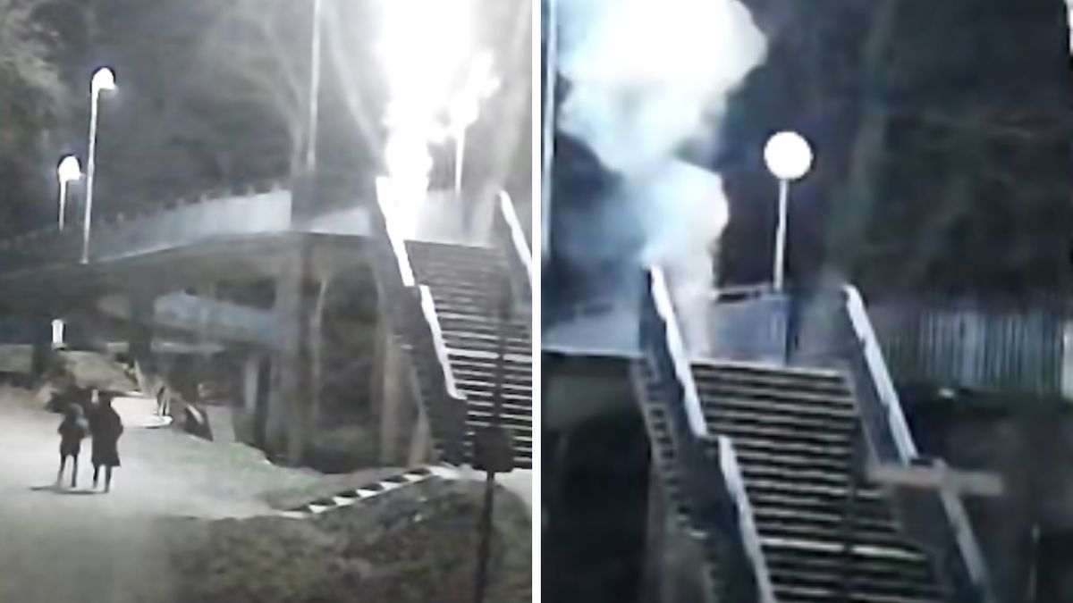 Zoo opublikowało nagranie