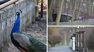 Nowy Tomyśl: Wiosenny spacer po zoo i parku