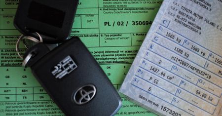 Będą zmiany w Zielonej Karcie. Dwa państwa odpadają