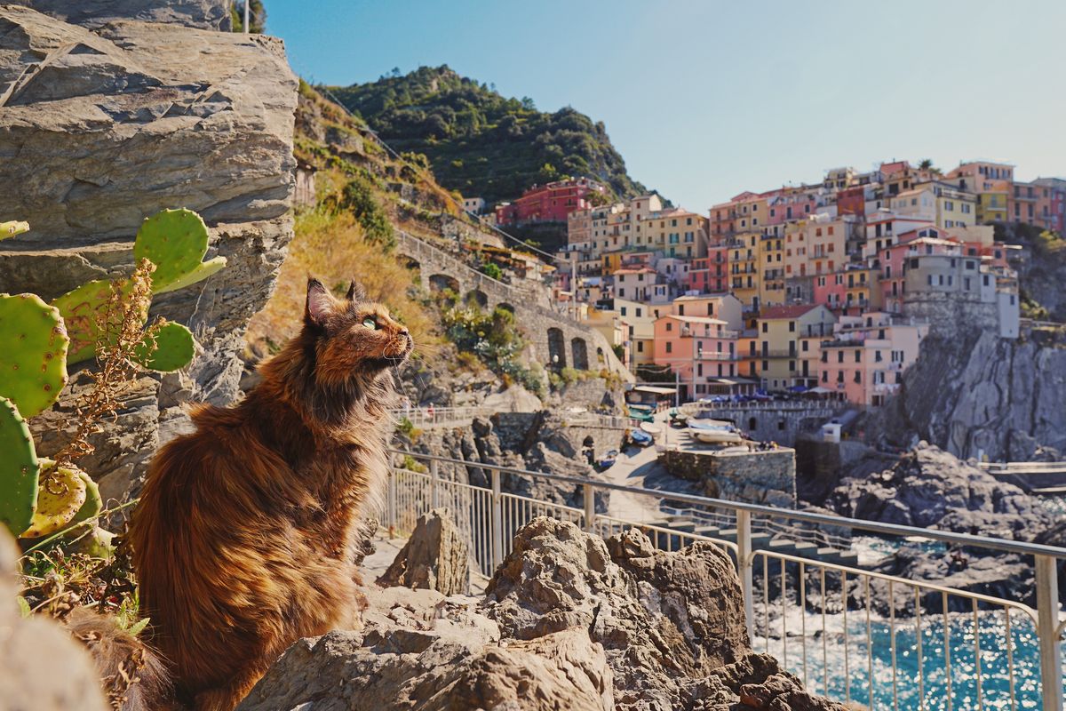 Lukrecja w Cinque Terre