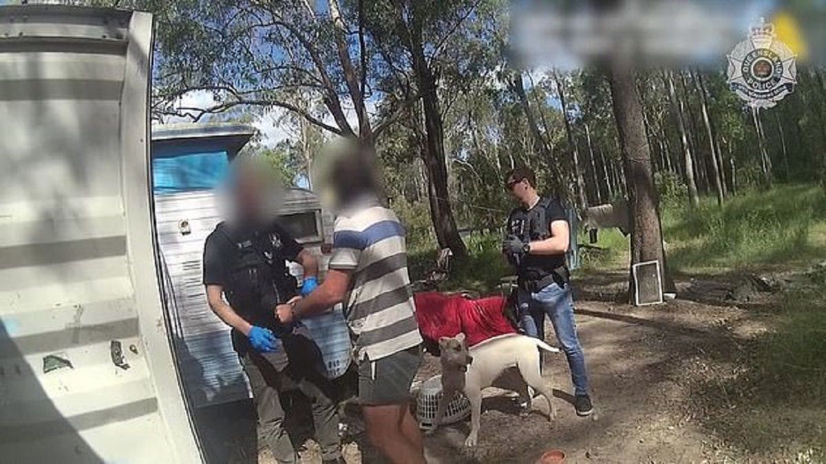 Australia. Policja zatrzymuje mężczyznę oskarżonego o pedofilię.