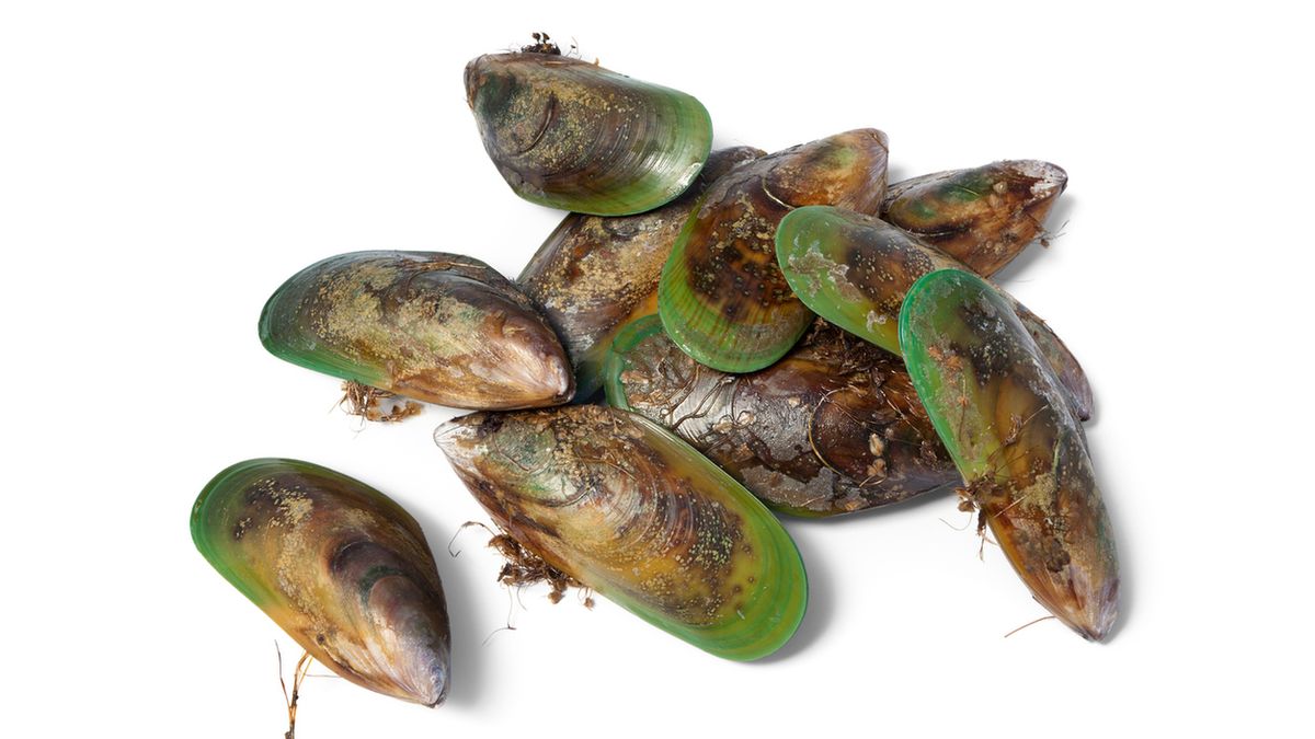 Omułek zielonowargowy ma zastosowanie w leczeniu problemów ze stawami