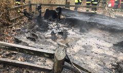 Brodnica. Ktoś podpalił znany dąb, jest nagroda za pomoc w ujęciu sprawcy