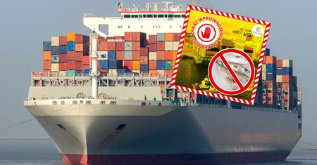 140 tys. kg ryb w rękach służb. Ogromny transport nie trafi na rynek