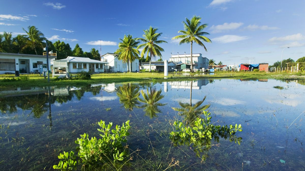 Pacyficzny kraj Tuwalu chce się przenieść do metaverse