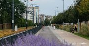 Potrącenie pieszego w Poznaniu. Ruch na trasie kórnickiej wstrzymany. Tramwaje kursują objazdami