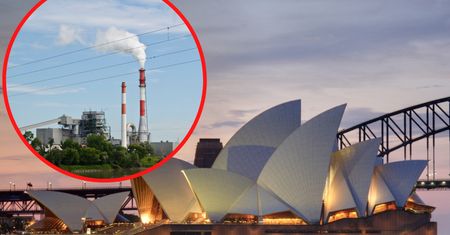 Liczył na słoneczne plaże Australii. Amerykanin szybko pożałował