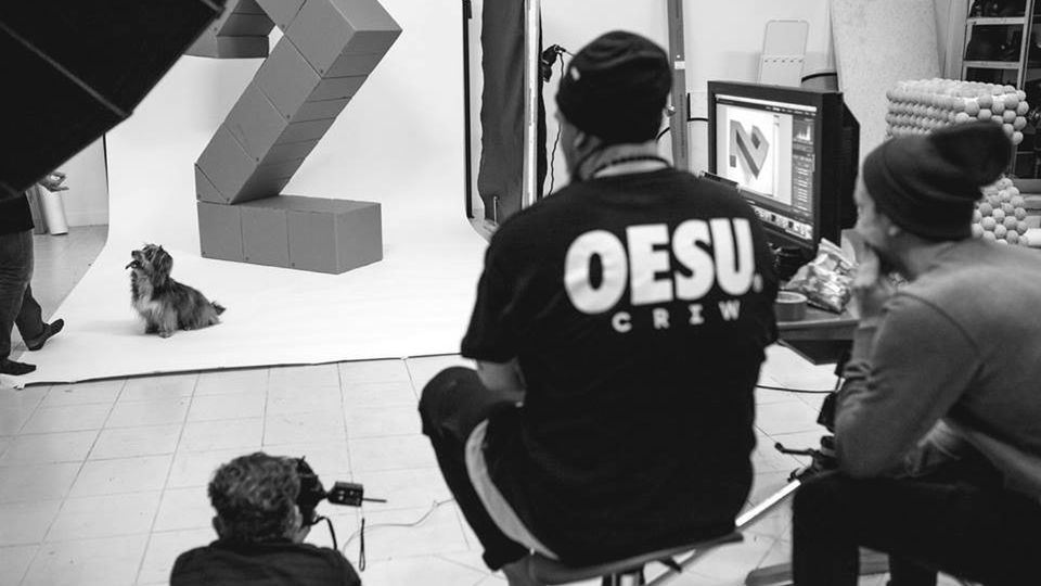 Artyści zrzeszyli się we Wrocławiu, tworząc kalendarz charytatywny dla potrzebujących zwierząt 1