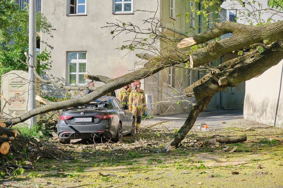 Powalone drzewo spadło na samochód na ul. Misjonarskiej
