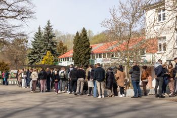 W Toruniu znów ustawią się kolejki. Wszystko dla psów ze schroniska