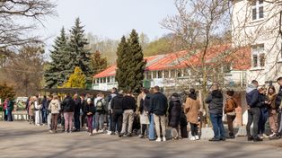W Toruniu znów ustawią się kolejki. Wszystko dla psów ze schroniska