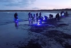 "Niech postawią fotoradary!". Uwaga na samochody na plażach