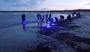 "Niech postawią fotoradary!". Uwaga na samochody na plażach