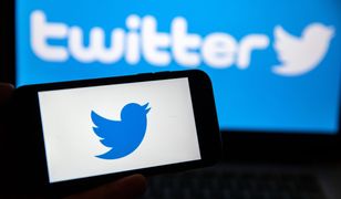 Взяв й передумав: Маск відмовився під покупки Тwitter