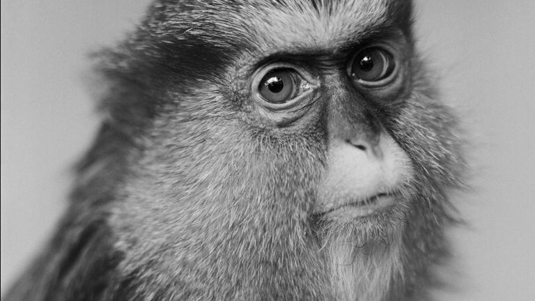 Polacy nagrodzeni w kategorii profesjonalnej Sony World Photography Awards 2012 1