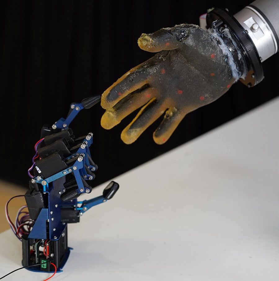 Hydrożelowa elektroniczna skóra nadaje robotom ludzki charakter