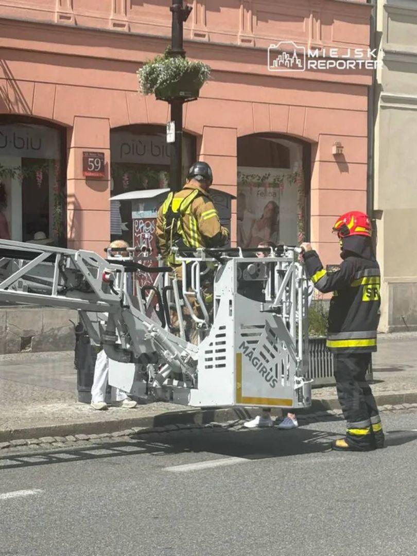 Niecodzienna akcja na Nowym Świecie