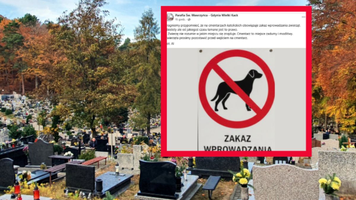 Zakaz wprowadzanie psów na cmentarz. Parafia przypomina