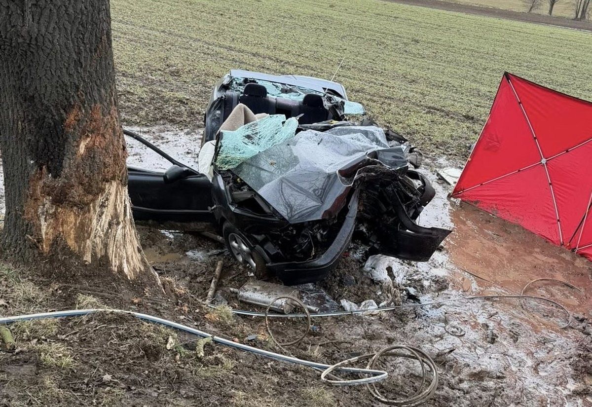 Koszmarny wypadek. Na drzewie został tylko ślad