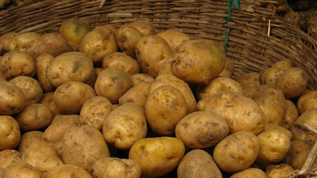 Kupujesz laptopa od Polaka? Uważaj, możesz dostać cegłę albo ziemniaki 1