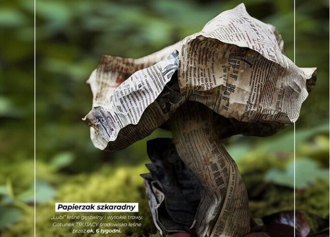 Lasy Państwowe z kampanią wygenerowaną przez AI