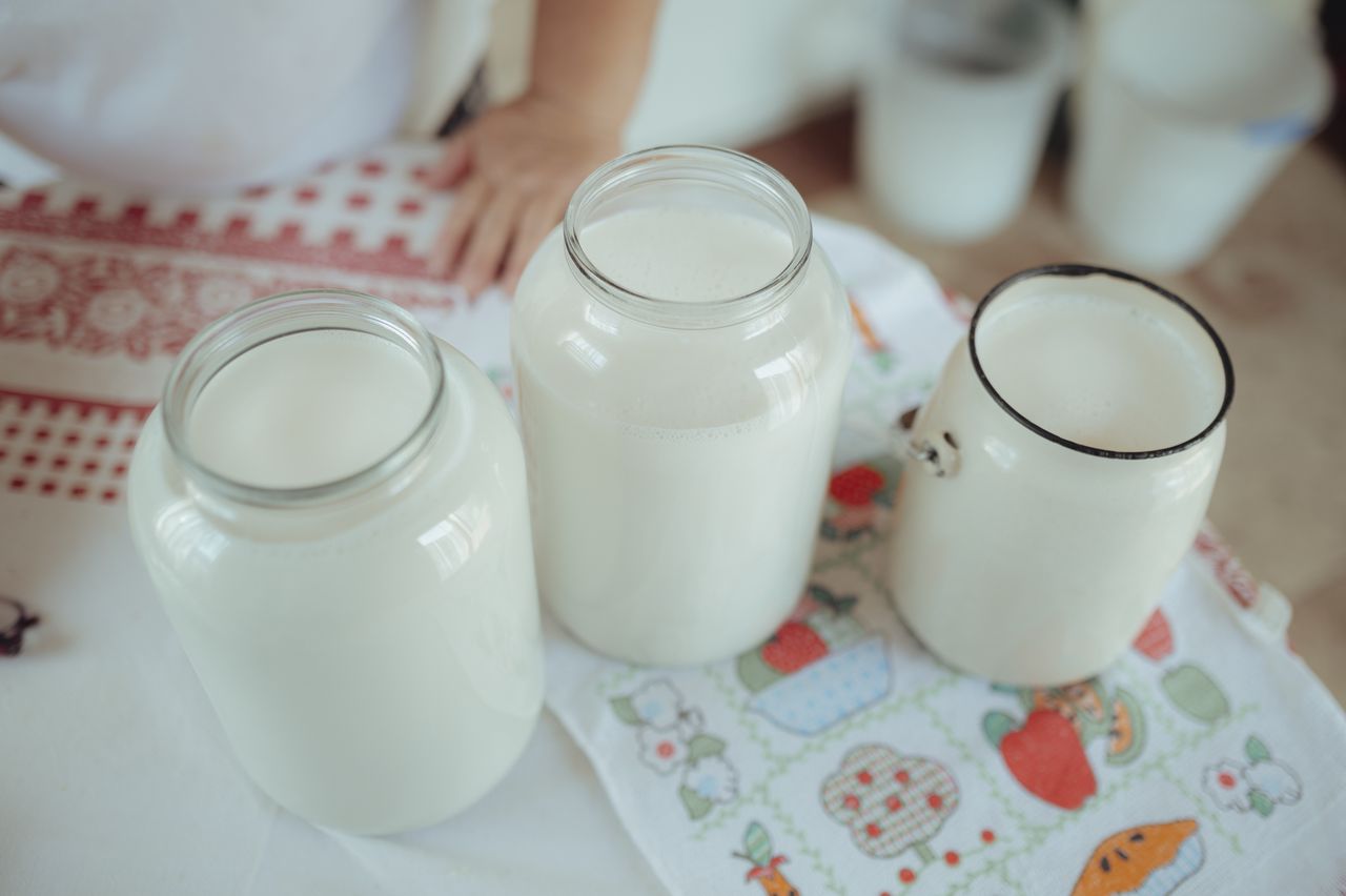 The rise of potato milk. A healthier alternative to cow's milk