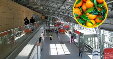 Z wycieczki przywieźli pomarańcze. "Potraktowano mnie jak przestępcę"