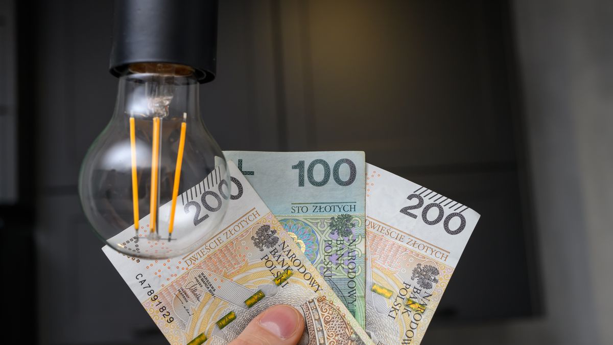 Mrożenie cen energii. Głos zabrali eksperci